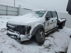 Salvage trucks for sale at Brighton, CO auction: 2019 Ford F550 Super Duty