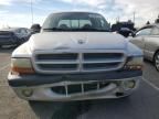 2002 Dodge Dakota Quad Sport