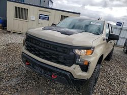 Chevrolet Silverado k1500 Trail bos salvage cars for sale: 2023 Chevrolet Silverado K1500 Trail Boss Custom