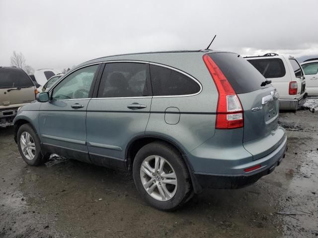 2010 Honda CR-V EXL