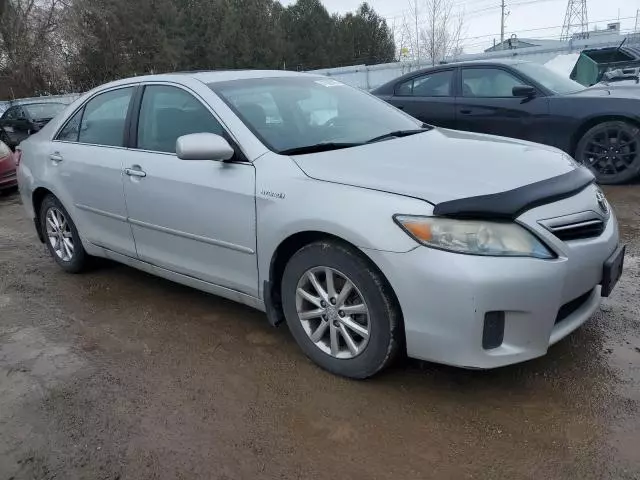 2010 Toyota Camry Hybrid