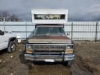 1981 Ford F250