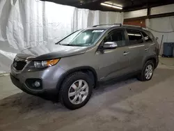 Salvage cars for sale at Ebensburg, PA auction: 2012 KIA Sorento Base