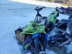 2020 Arctic Cat Riot