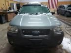 2006 Ford Escape XLT