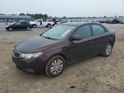 Salvage cars for sale at Harleyville, SC auction: 2011 KIA Forte EX