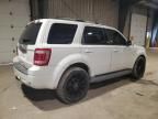 2010 Ford Escape Limited