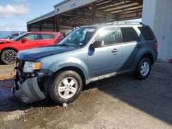 2010 Ford Escape XLT en venta en Riverview, FL