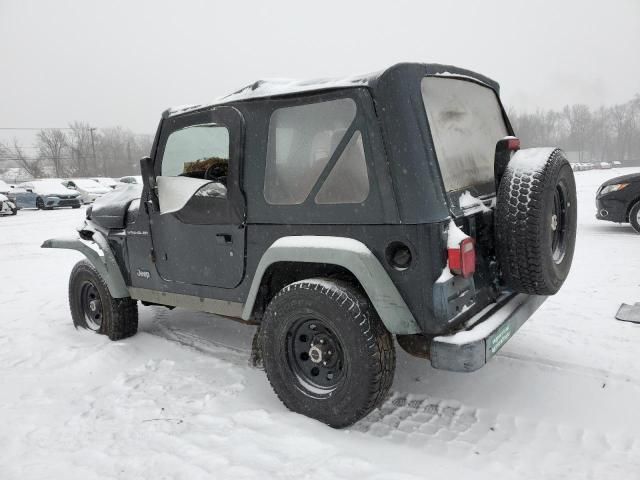 2002 Jeep Wrangler / TJ X