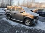 2005 Honda Element EX