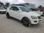 2008 Mercedes-Benz ML 350