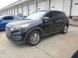 Salvage cars for sale at Louisville, KY auction: 2017 Hyundai Tucson SE