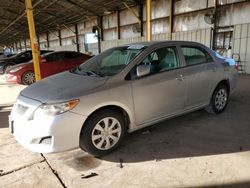 Salvage cars for sale at Phoenix, AZ auction: 2010 Toyota Corolla Base