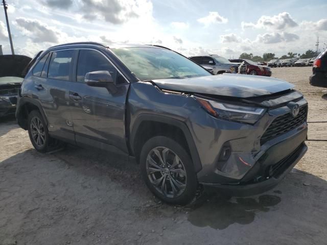 2024 Toyota Rav4 XLE Premium