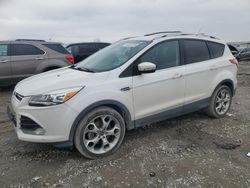 Salvage cars for sale at Earlington, KY auction: 2013 Ford Escape Titanium