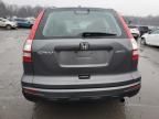 2010 Honda CR-V LX