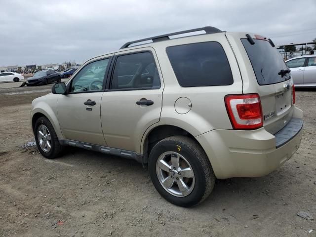 2010 Ford Escape XLT