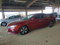 Salvage cars for sale at American Canyon, CA auction: 2022 Nissan Altima SV