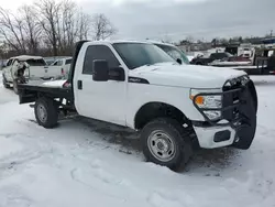 Salvage trucks for sale at Lexington, KY auction: 2015 Ford F250 Super Duty