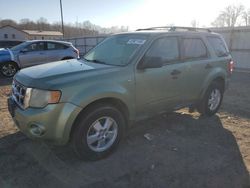 Salvage cars for sale at York Haven, PA auction: 2008 Ford Escape XLT