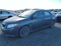 Salvage cars for sale at Anderson, CA auction: 2010 Toyota Corolla Base