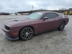 Dodge Challenger salvage cars for sale: 2016 Dodge Challenger R/T Scat Pack