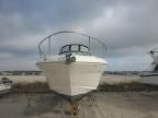 2004 Sea Ray Boat