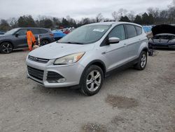 Salvage cars for sale at Madisonville, TN auction: 2013 Ford Escape SE