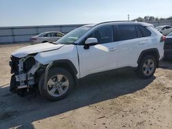 Salvage cars for sale at Fredericksburg, VA auction: 2023 Toyota Rav4 XLE