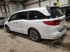 2023 Honda Odyssey EXL