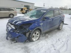 Salvage cars for sale at Leroy, NY auction: 2016 Ford Escape SE