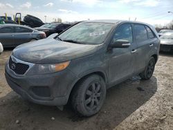 Salvage cars for sale at Indianapolis, IN auction: 2012 KIA Sorento Base