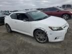 2013 Scion TC