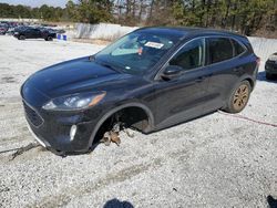 Ford salvage cars for sale: 2020 Ford Escape SEL