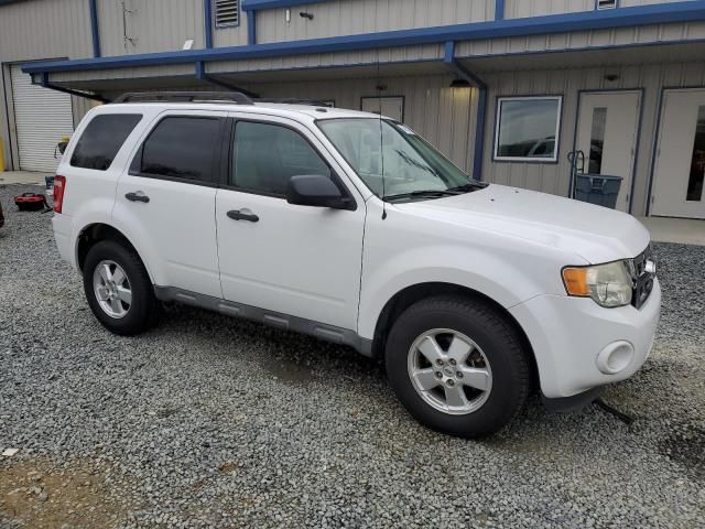 2011 Ford Escape XLT