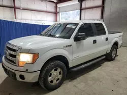 Salvage SUVs for sale at auction: 2013 Ford F150 Supercrew