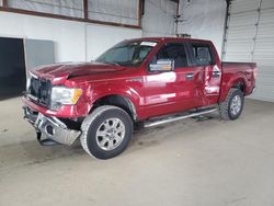 Salvage cars for sale at Lexington, KY auction: 2013 Ford F150 Supercrew