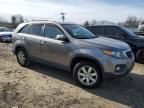 2011 KIA Sorento Base