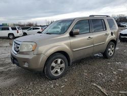 Salvage cars for sale at Columbus, OH auction: 2009 Honda Pilot EX