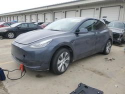 Salvage cars for sale at Louisville, KY auction: 2023 Tesla Model Y