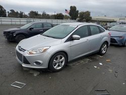 Salvage cars for sale from Copart Martinez, CA: 2013 Ford Focus SE