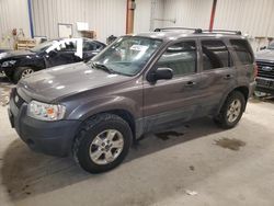 Salvage cars for sale at Appleton, WI auction: 2005 Ford Escape XLT