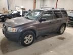 2005 Ford Escape XLT