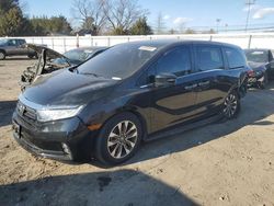 Salvage cars for sale at Finksburg, MD auction: 2021 Honda Odyssey EXL