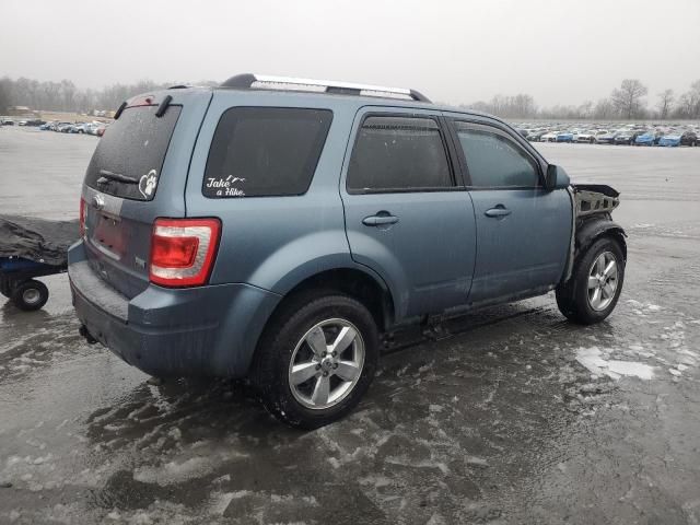 2011 Ford Escape Limited