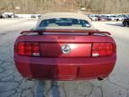 2006 Ford Mustang GT