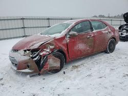 Salvage Cars with No Bids Yet For Sale at auction: 2014 Toyota Corolla L