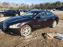 Nissan salvage cars for sale: 2013 Nissan Maxima S