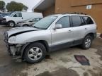 2006 Hyundai Santa FE GLS