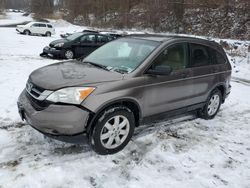 SUV salvage a la venta en subasta: 2011 Honda CR-V SE